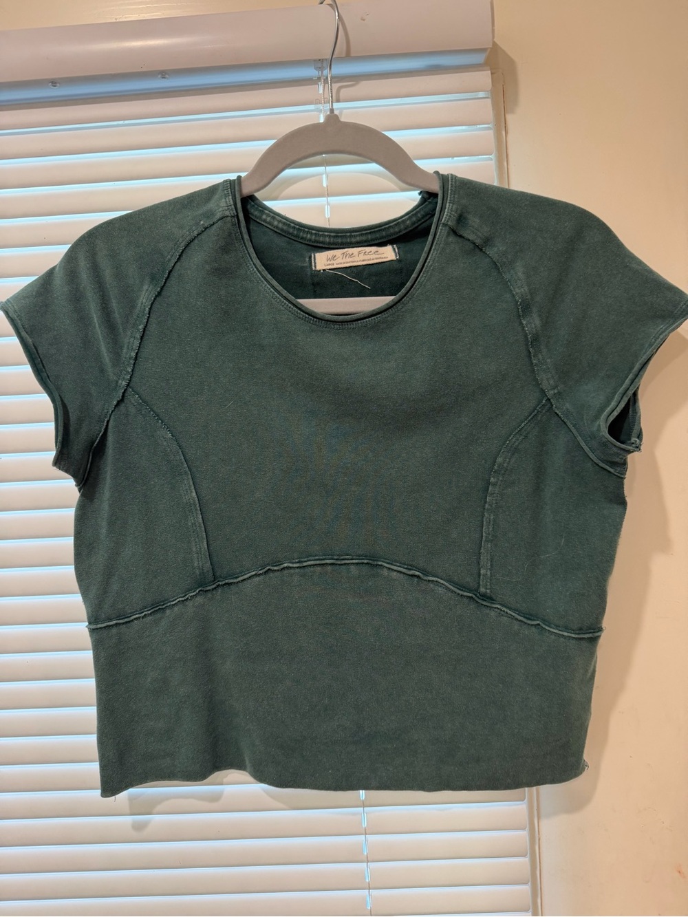 We The Free Protagonist Cropped Cap Sleeve Tee